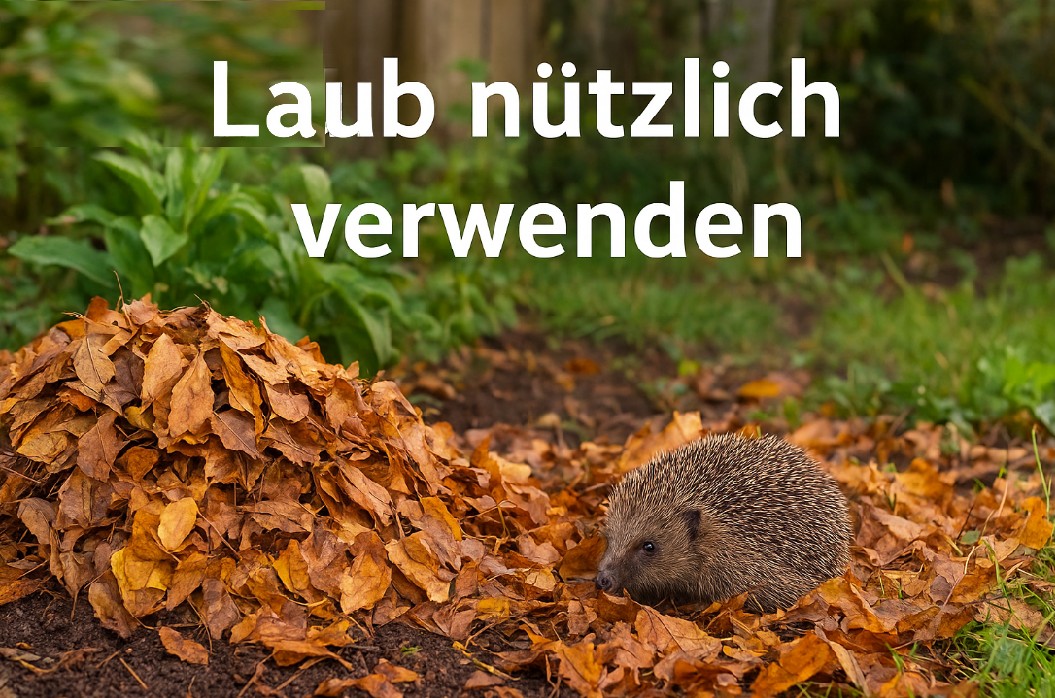 Herbstlaub clever nutzen im Garten