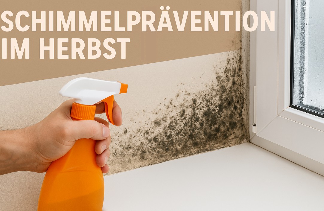 Schimmelprävention im Herbst: So bleiben Räume trocken